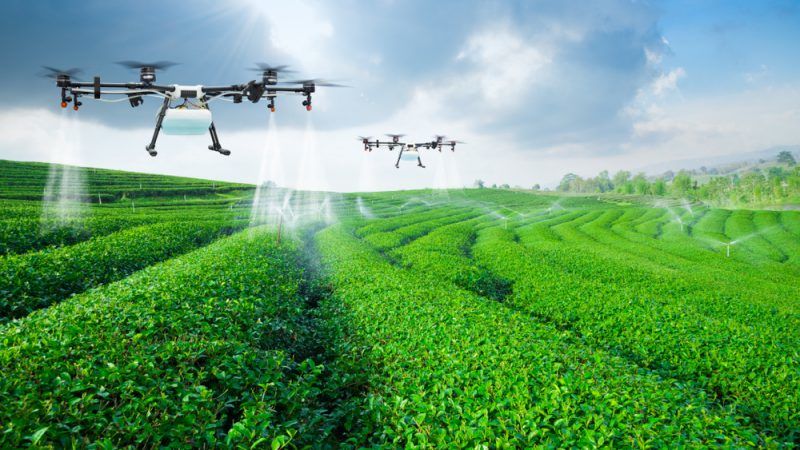 La digitalisation agricole en Afrique