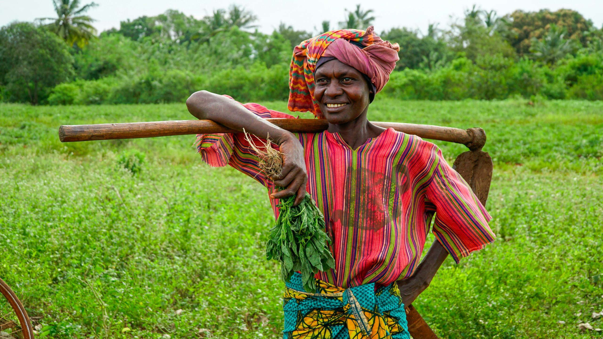 Décryptage des Données Économiques du Togo : Une Opportunité pour les Entreprises et les Décideurs Politiques