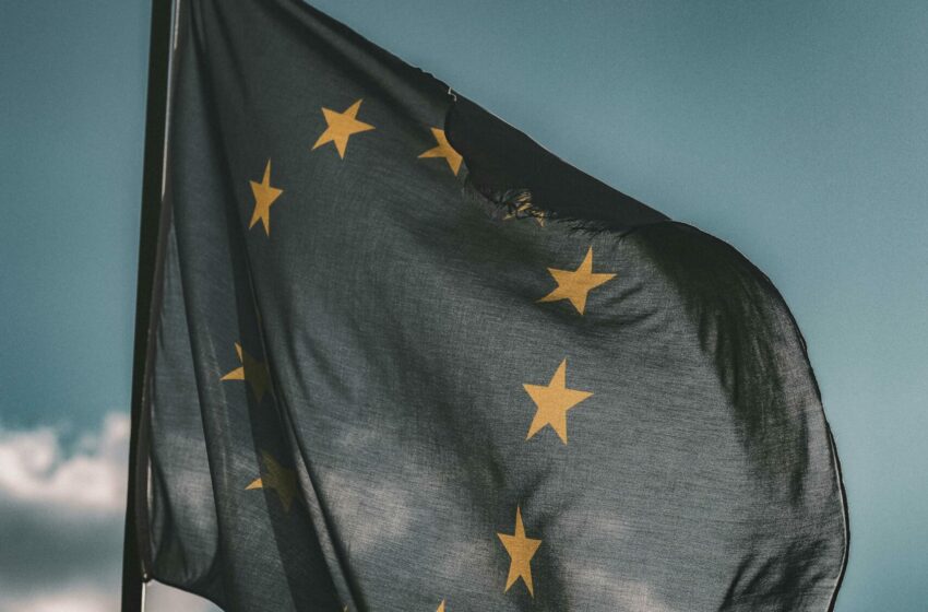 Etat de la régulation des Prestataires de Services sur Actifs Numériques en zone EURO